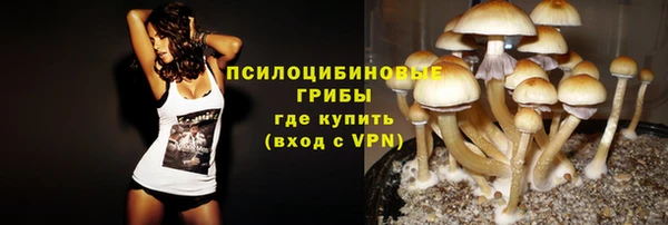 синтетический гашиш Арсеньев