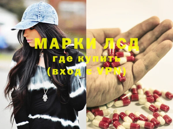 ПСИЛОЦИБИНОВЫЕ ГРИБЫ Сосновка