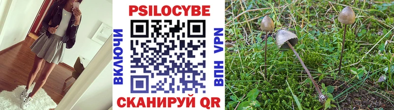 хочу   Стародуб  даркнет Telegram  Псилоцибиновые грибы Cubensis  hydra ссылка 