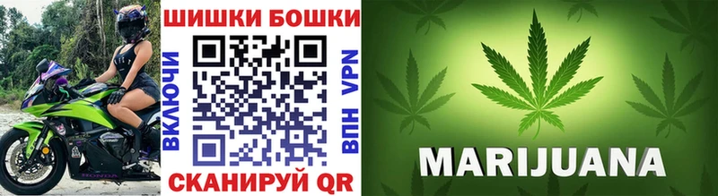 Шишки марихуана сатива  продажа наркотиков  Стародуб 