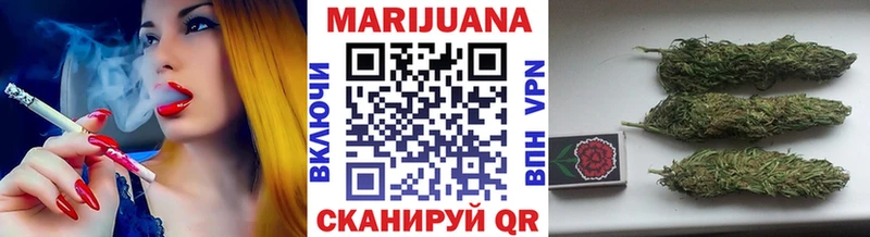 Канабис конопля Стародуб